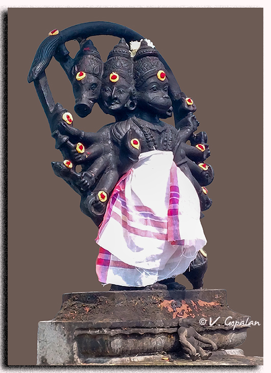 V Gopalan tweet media
