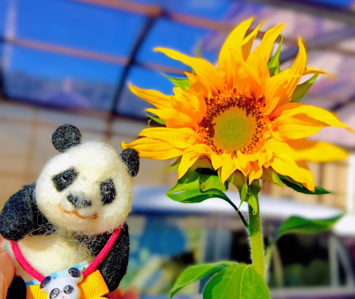 みみこ (@opan335) / Posts / X