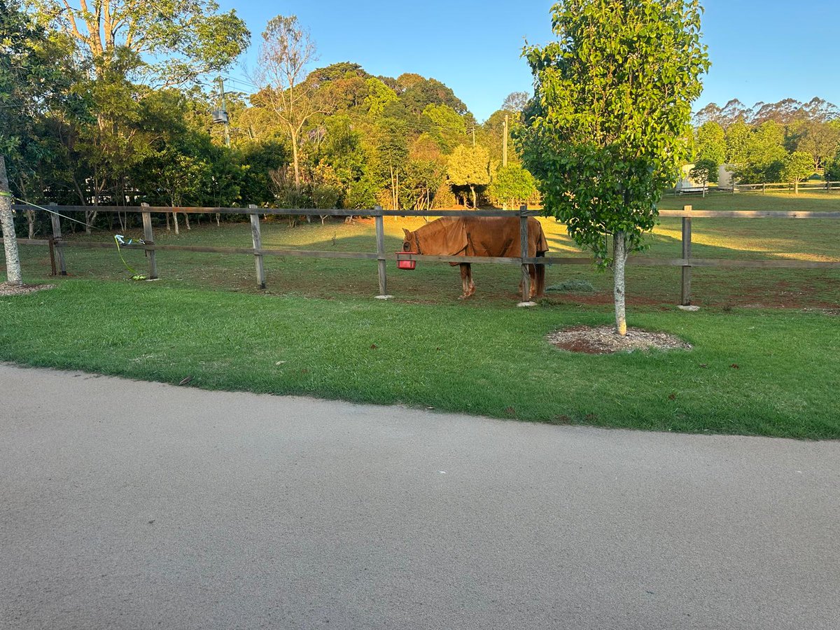 Sic Surface Australia tweet media