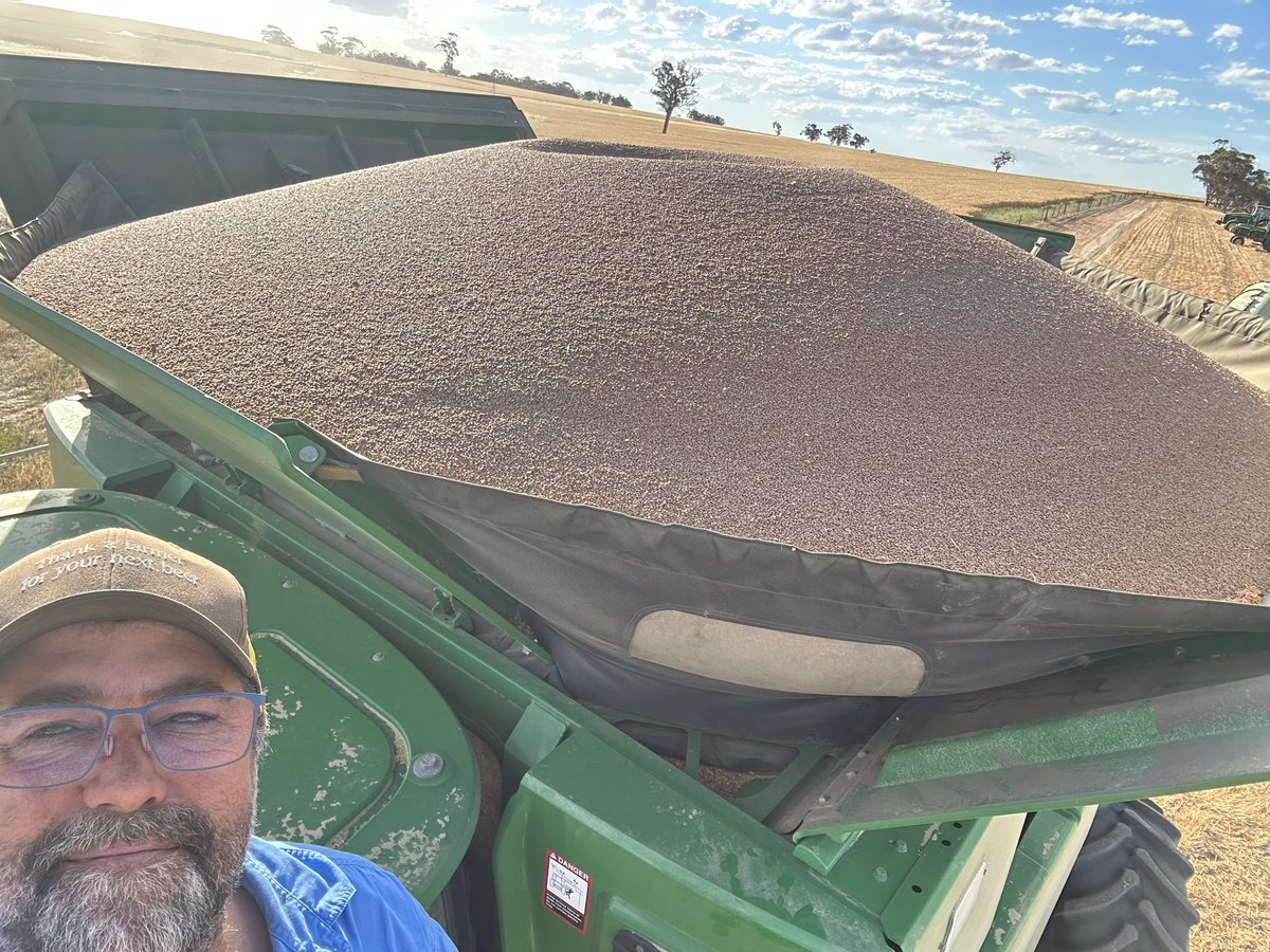 JJB McGill esquire Hoolz. living on McGill land tweet media