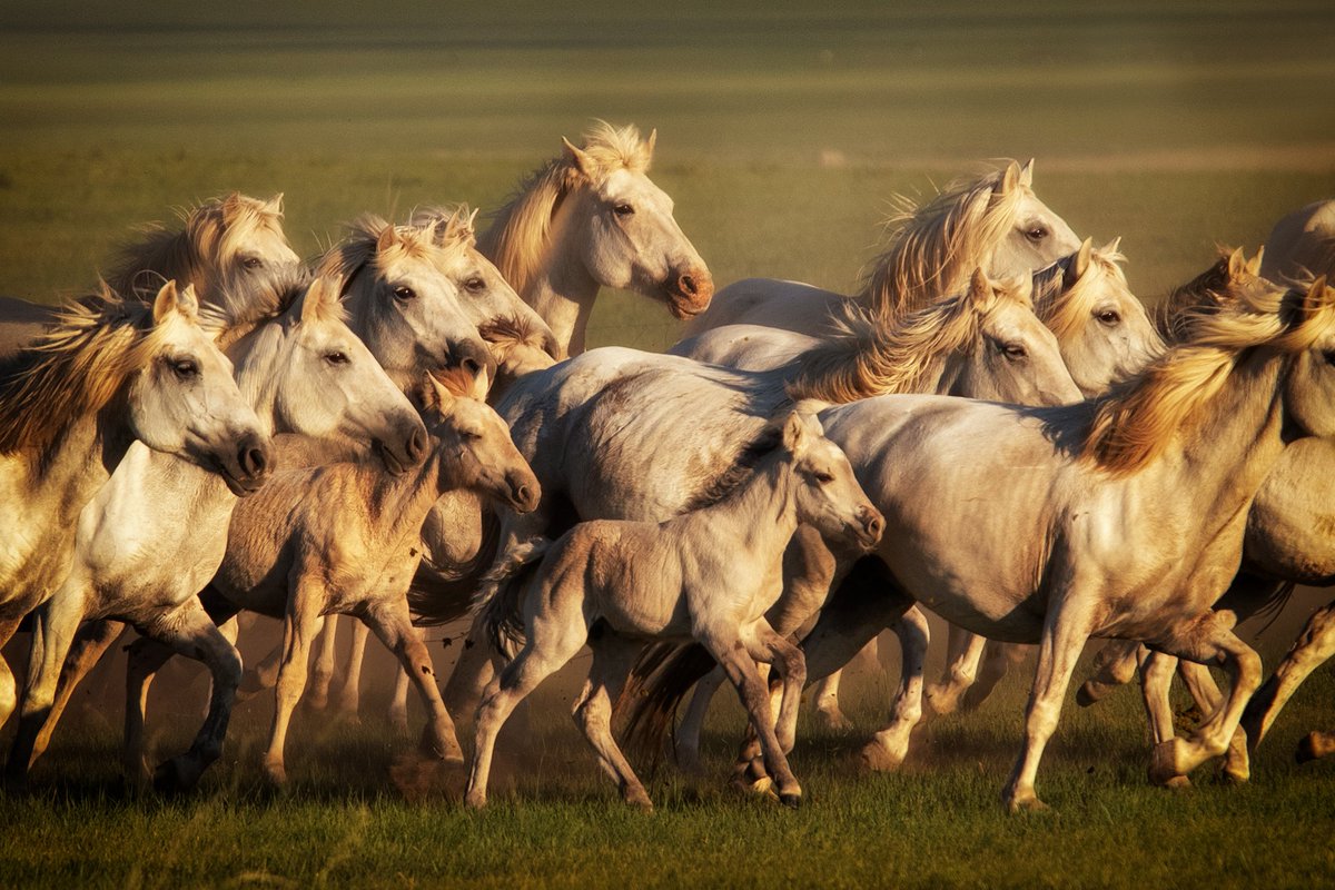 Yavuz Sariyildiz.eth/.sol tweet media