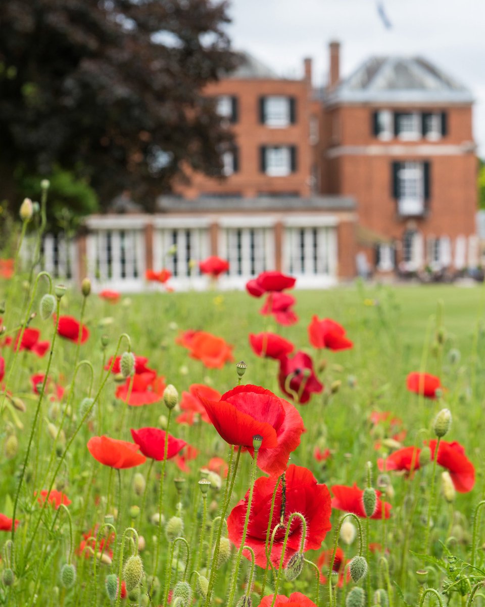 Royal Automobile Club tweet media