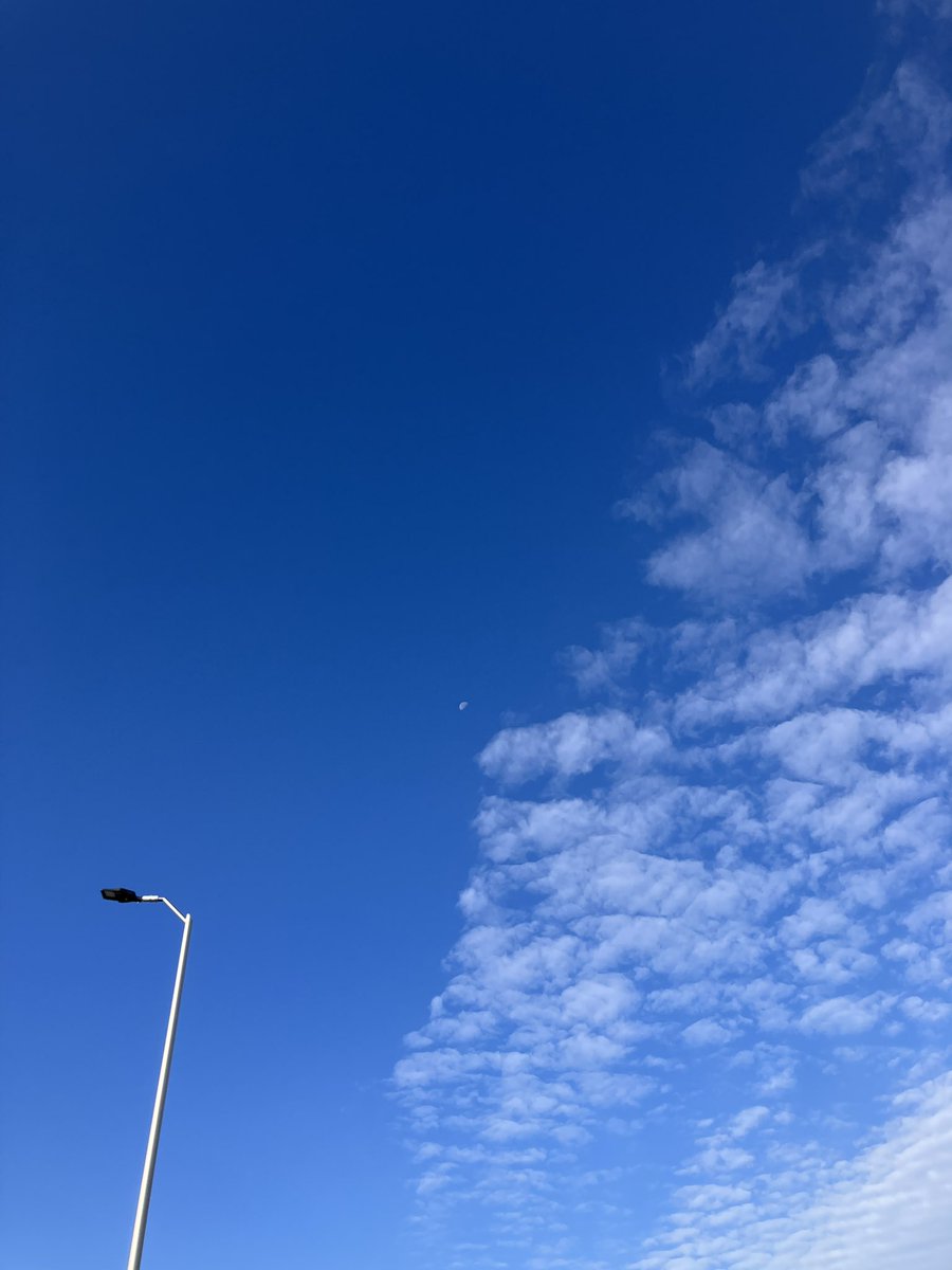 鳥のようでした
