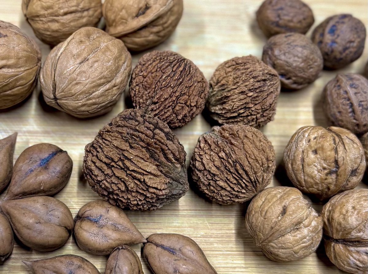 tori (@maritori0501) / Posts / X