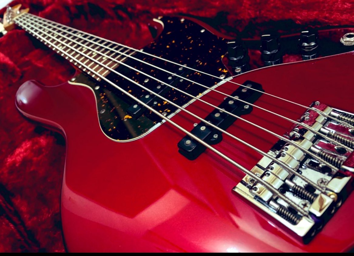 ito_whiteb's tweet image. #ベースの日
 
ベーシストっぽい写真あんまりなかったので笑

メイン機とともに！
いつもいい音出してくれて最高の子です✨️

これからもたくさんベース弾いていきます！！よろしくお願いします！！

HAPPY BASS DAY!!!
 #Momose
#diviser
#ディバイザー