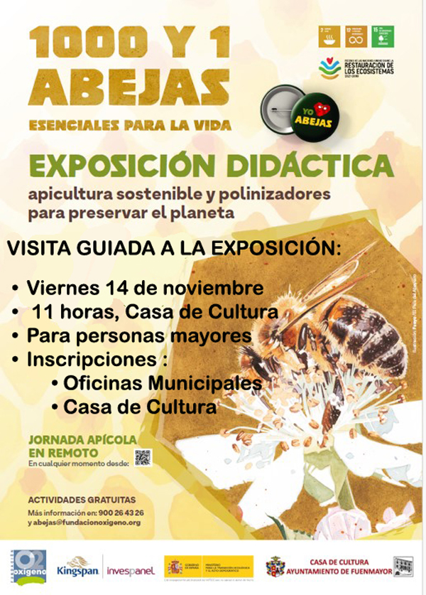 VISITAS GUIADAS A LA EXPOSICIÓN DIDÁCTICA “1001 Y ABEJAS” EN FUENMAYOR

El viernes 14 de noviembre a las once horas, visita guiada para personas mayores y a la que te invitamos a asistir.