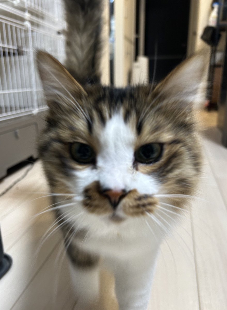 ワクチンのお手紙来たので報告したら怒ってる