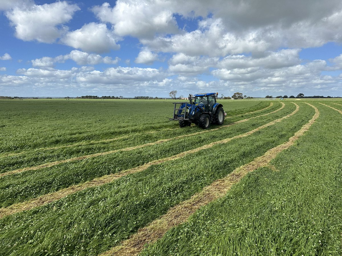 Silage 25 is finally underway !
One of the latest starts I can remember !
