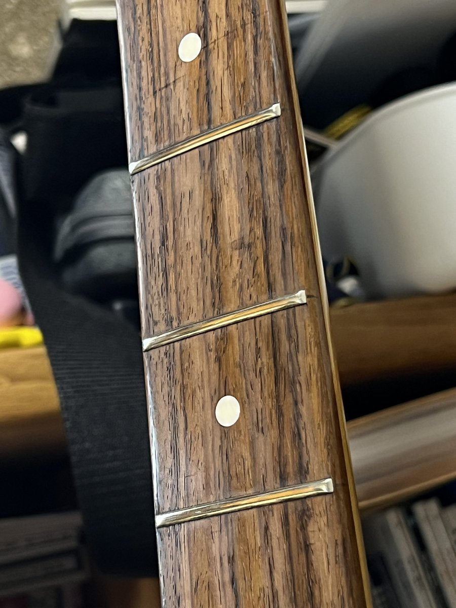 ◆ねこっこ◆ ねっこ｜福音館書店