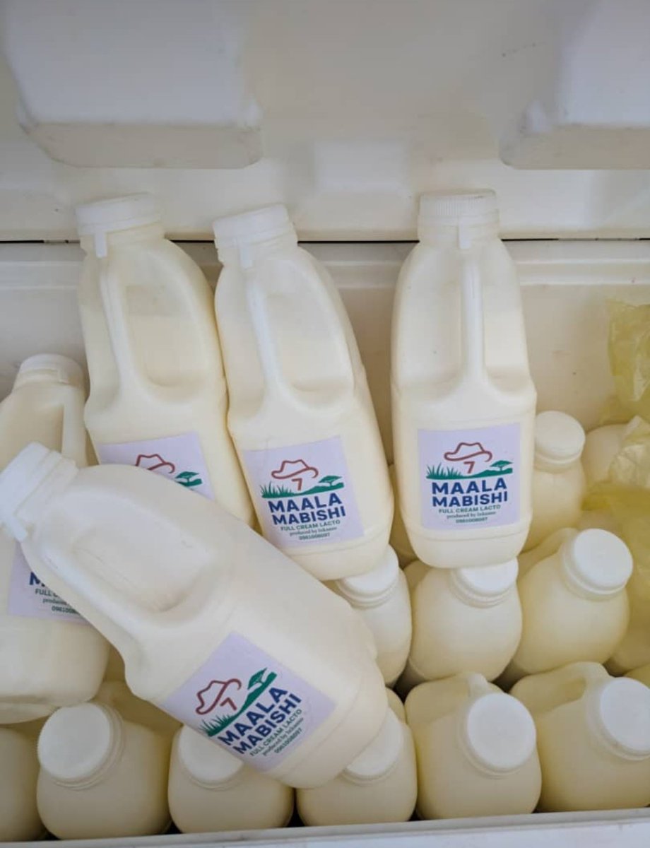 What we went to finalize is now done!!! Mabisi for sale, very creamy and you pay after you taste 😅 and buy a second bottle! 
K20 only 🥺