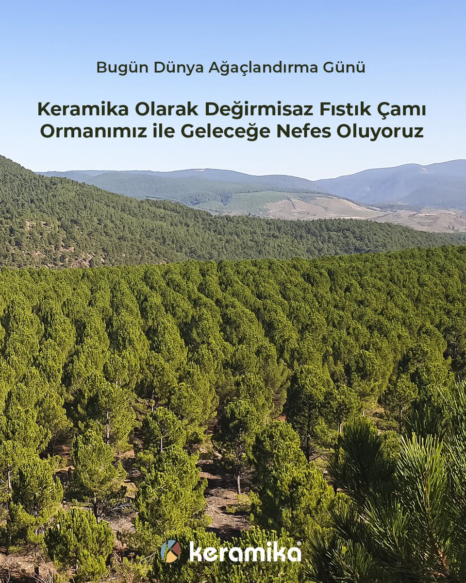 Bugün, 11 Kasım Milli Ağaçlandırma Günü 🌱
Keramika olarak doğaya olan sorumluluğumuzla, Değirmisaz Ormanımız ile geleceğe nefes bırakıyoruz.
Her fidan, yeşil bir dünyanın umudu… 💚

#Keramika #AğaçlandırmaGünü #DoğayaNefes