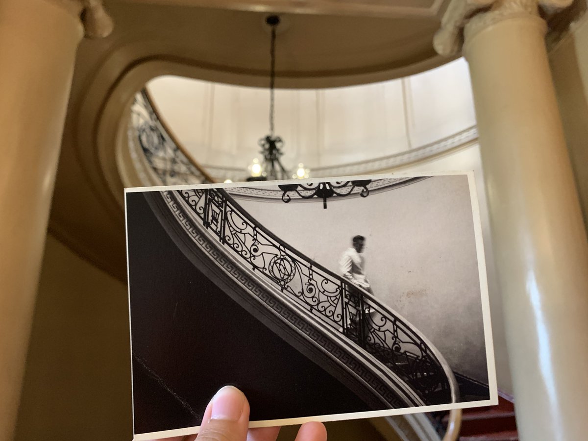 tim 🪙 #1 MAVENISTA tweet media