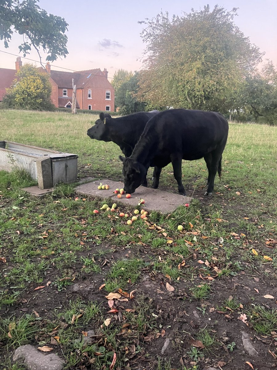 Joe Fisher tweet media