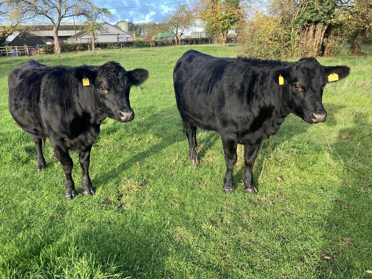 Joe Fisher tweet media