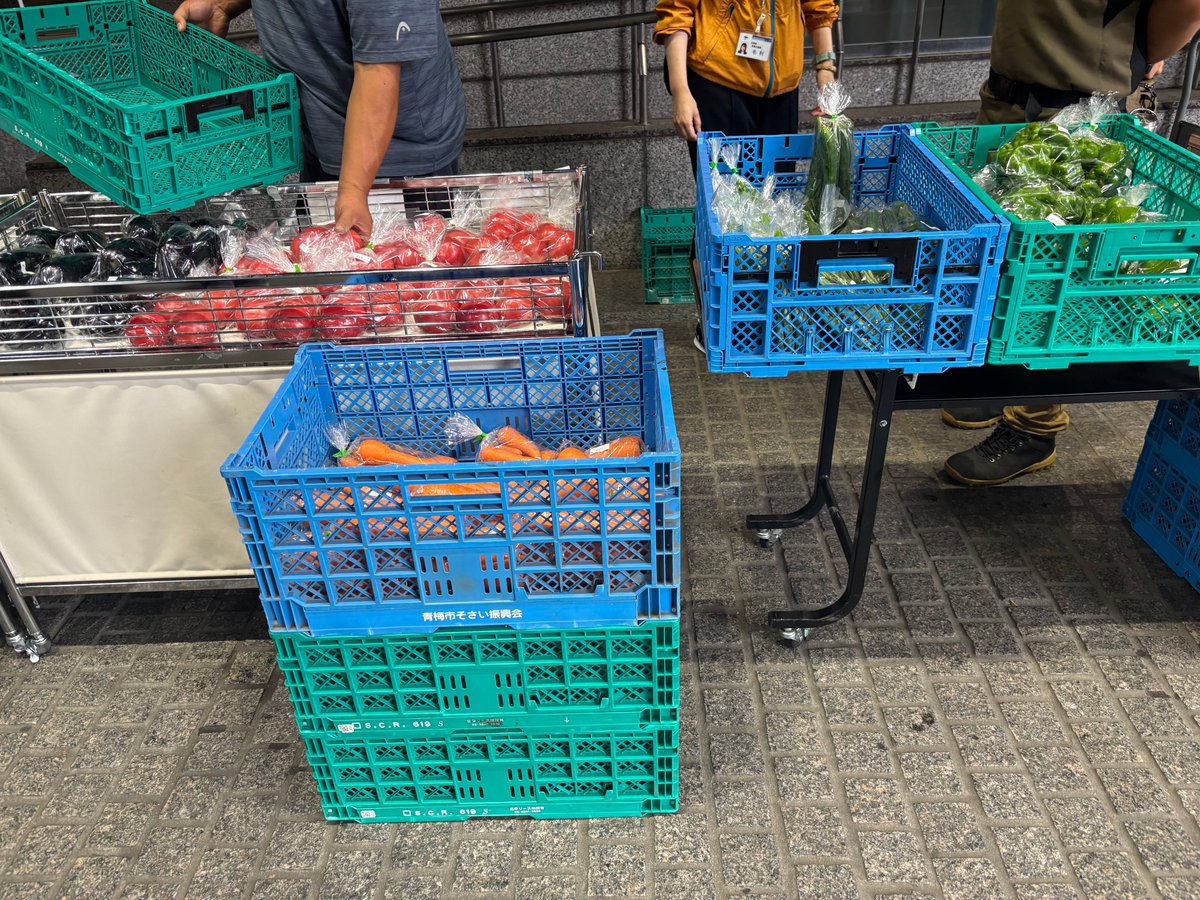 新鮮 青梅 約50個入り 新鮮 青梅 約50個入り 新鮮 青梅 約50個入り