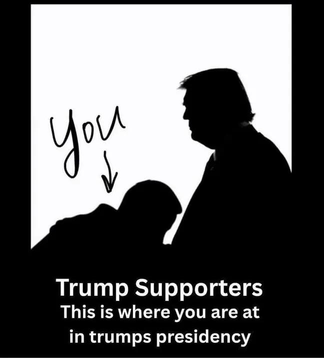 phillipsdan83's tweet photo. @OneBadDude_ @realDonaldTrump https://t.co/3dHrCchS9G