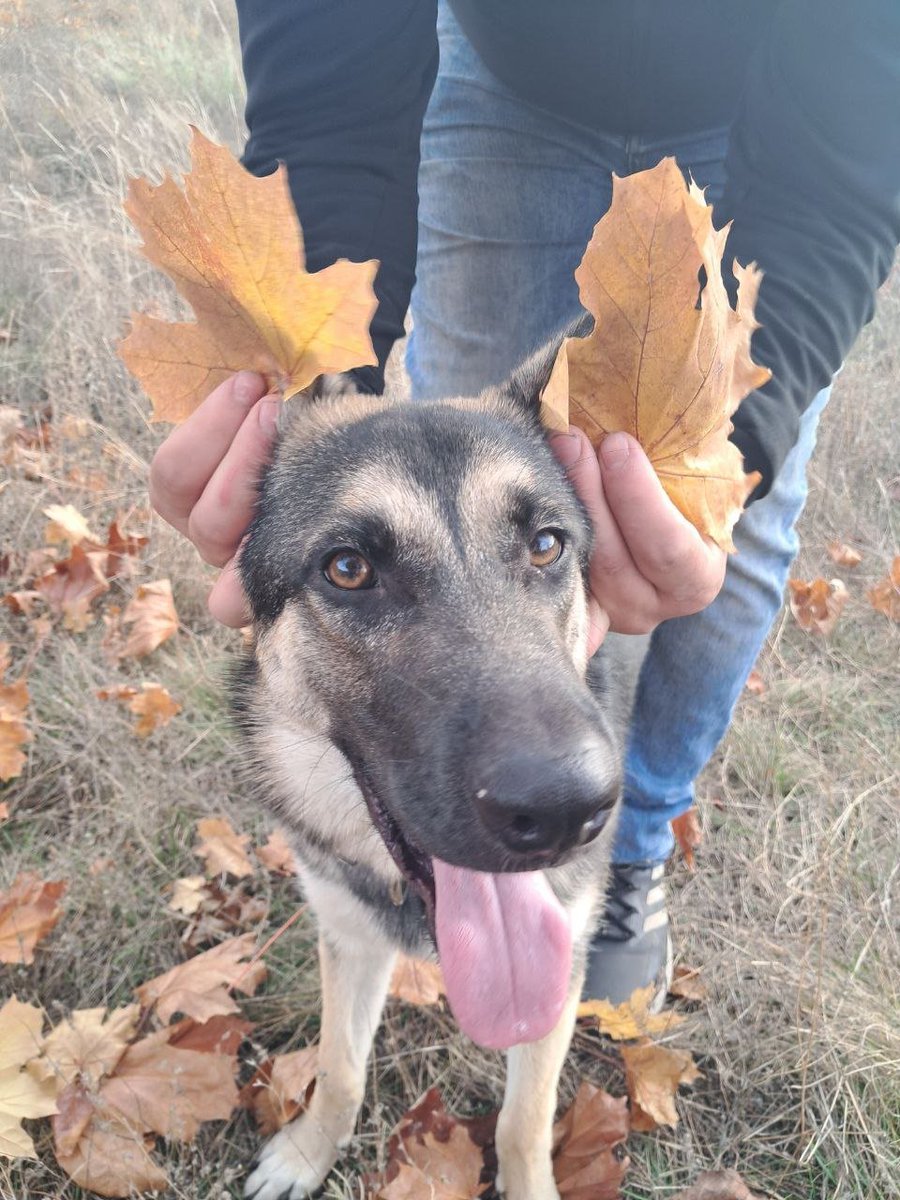 ‼️ HELP IS NEEDED MOST RIGHT NOW‼️

There is an opportunity to do something important for those on the front line. Even a small contribution can significantly change the situation.
Join us!

🎯 Goal: $9700
🔥Collected:$1429, 23

🅿️🅿️: vladimirhomzikov@gmail.com

 🇺🇦🇺🇦 Together to