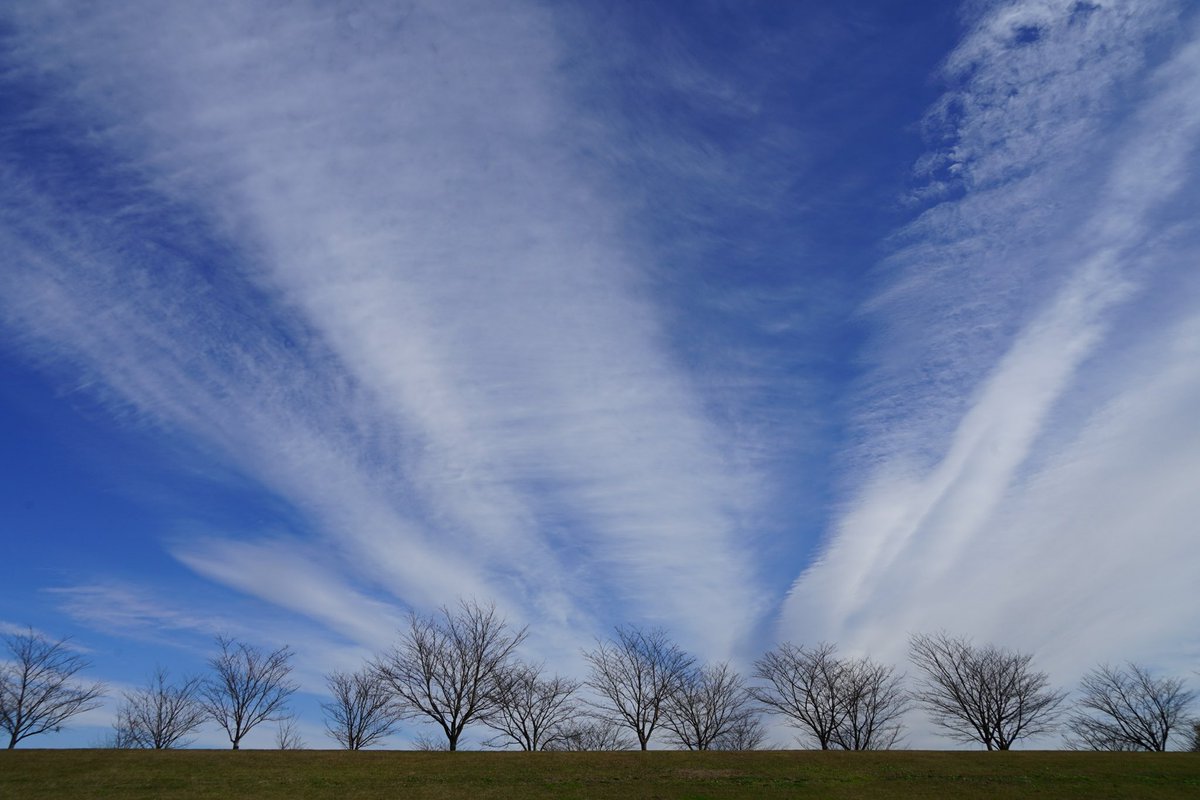 giantrogo's tweet image. いい天気、河川敷散歩。