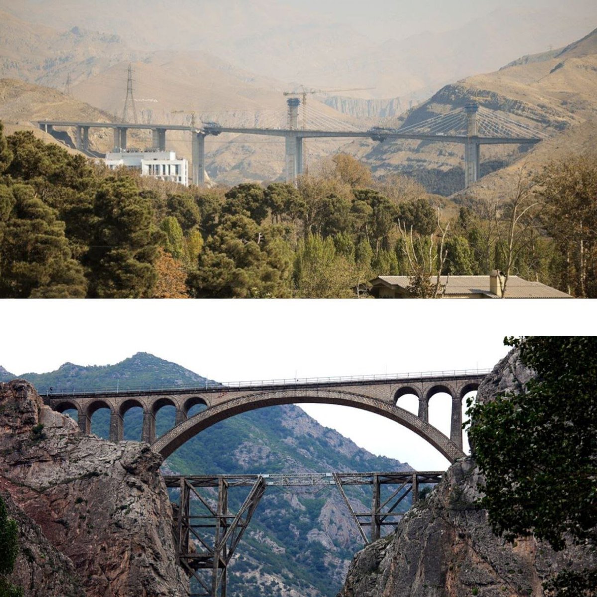 مَحجور tweet media