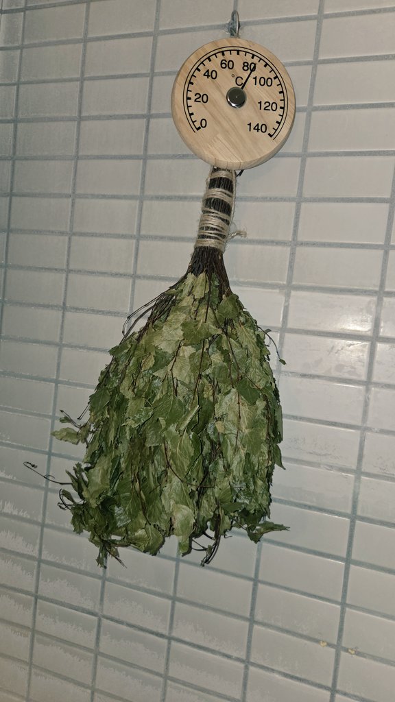 kotobukiyu1010's tweet image. 東上野・寿湯です‼️

現在、男性・塩サウナには
社長が｢本場フィンランド｣より持ち帰った、ビフィタを吊るしております。

爽やかな香り漂う塩サウナになってますよ😊

#塩サウナ
#塩と泥パックとビフィタ