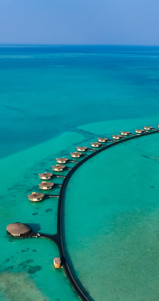 من أعماق البحر الأحمر تولد لحظات لا تُنسى… وجهة سياحية سعودية تُعيد تعريف الرفاهية على شواطئ الأحلام. 🇸🇦
#وجهة_البحر_الأحمر 
#السياحة_السعودية