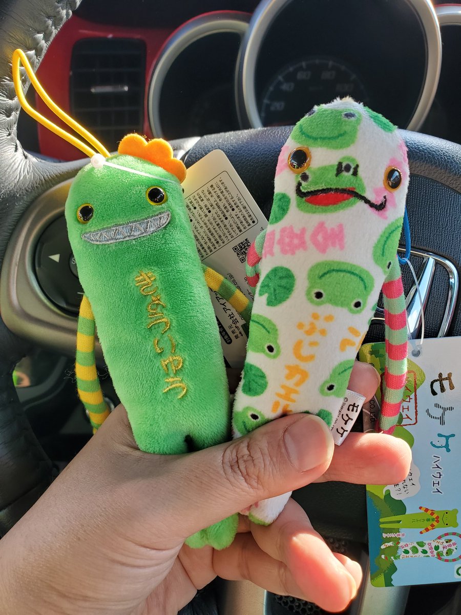 01Rei2's tweet photo. 福井県敦賀市でやっっっっっっっっっと！！！モケケが手に入ったぞー！！
可愛すぎてやばいｿｲﾔｯ∠(　˙-˙ )／ｿｲﾔｰｯ

 #高尾颯斗
 #モケケ https://t.co/kfFxTjL4d8
