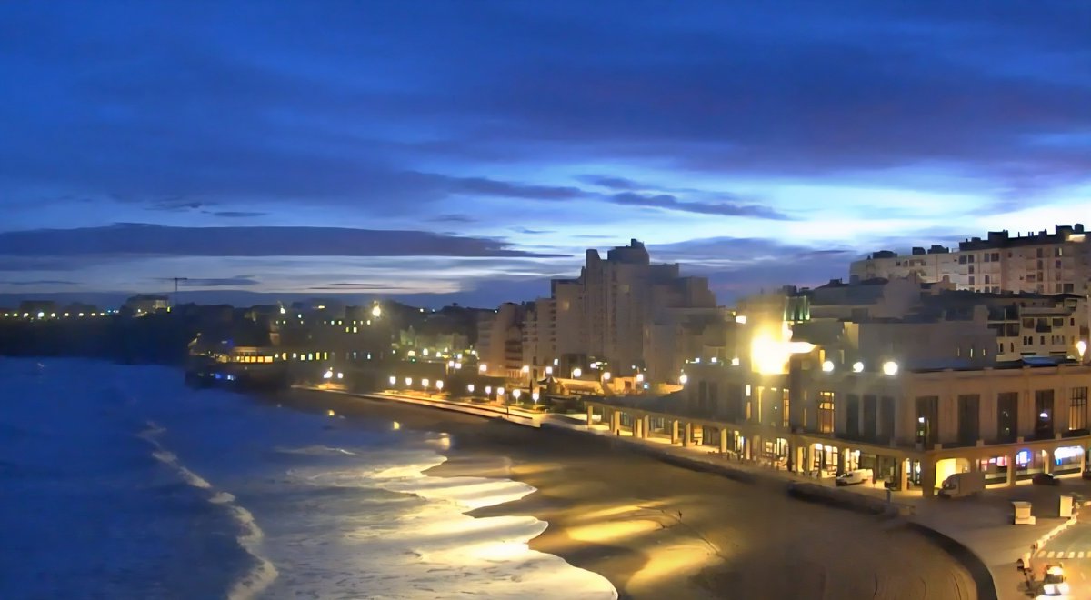 PNerval's tweet photo. Biarritz 11 novembre 2025 07h17 🌤🌤🌤🌤15°C
Excellente journée commémorative pour tout le monde 👍 😀 
Bises pour la gent féminine 🐕 🌸 🌺 🌻 🌼 😘 🐕