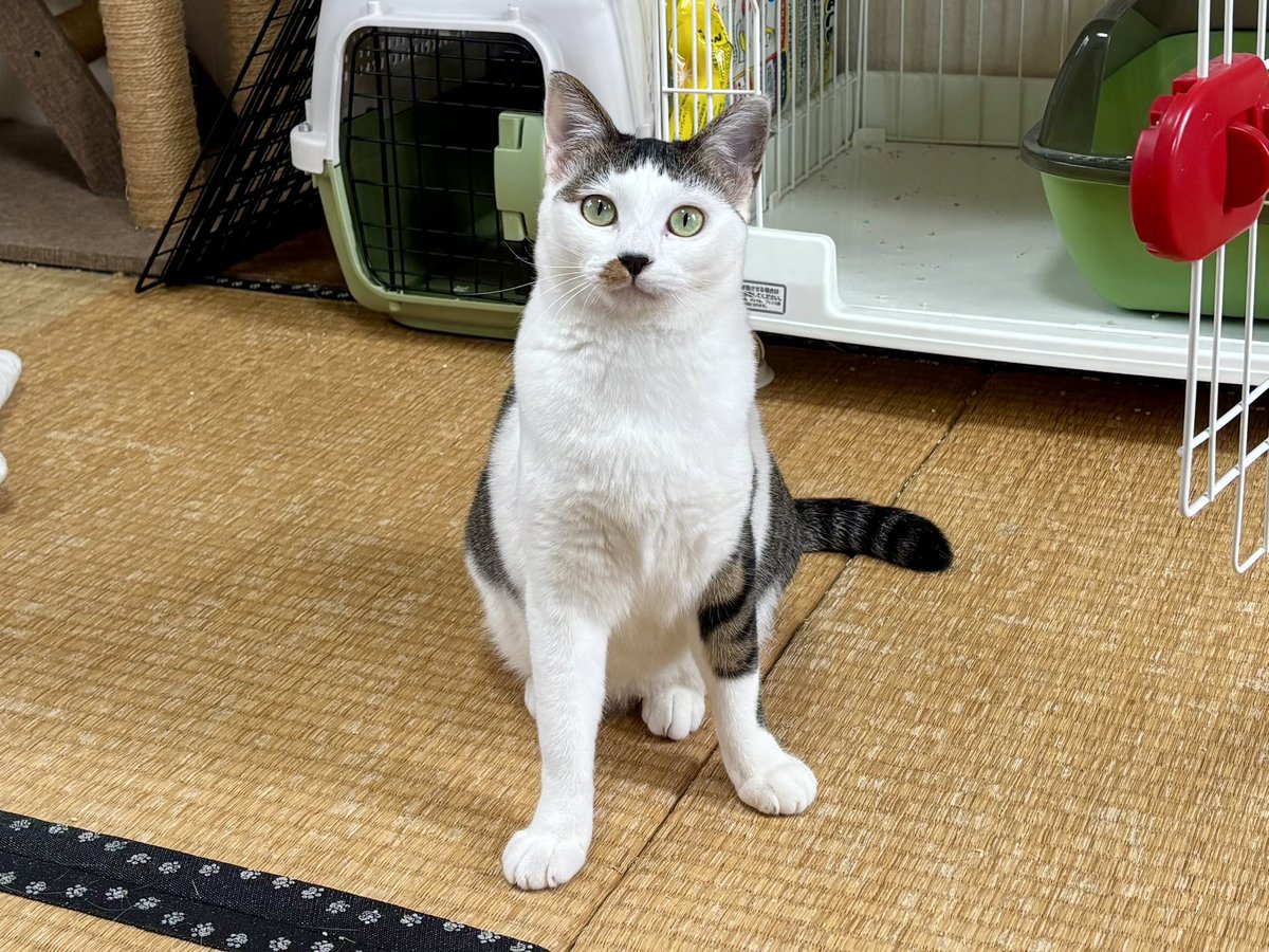 雷十太先生 (@asjSvnCZl18wKXM) / Posts / X