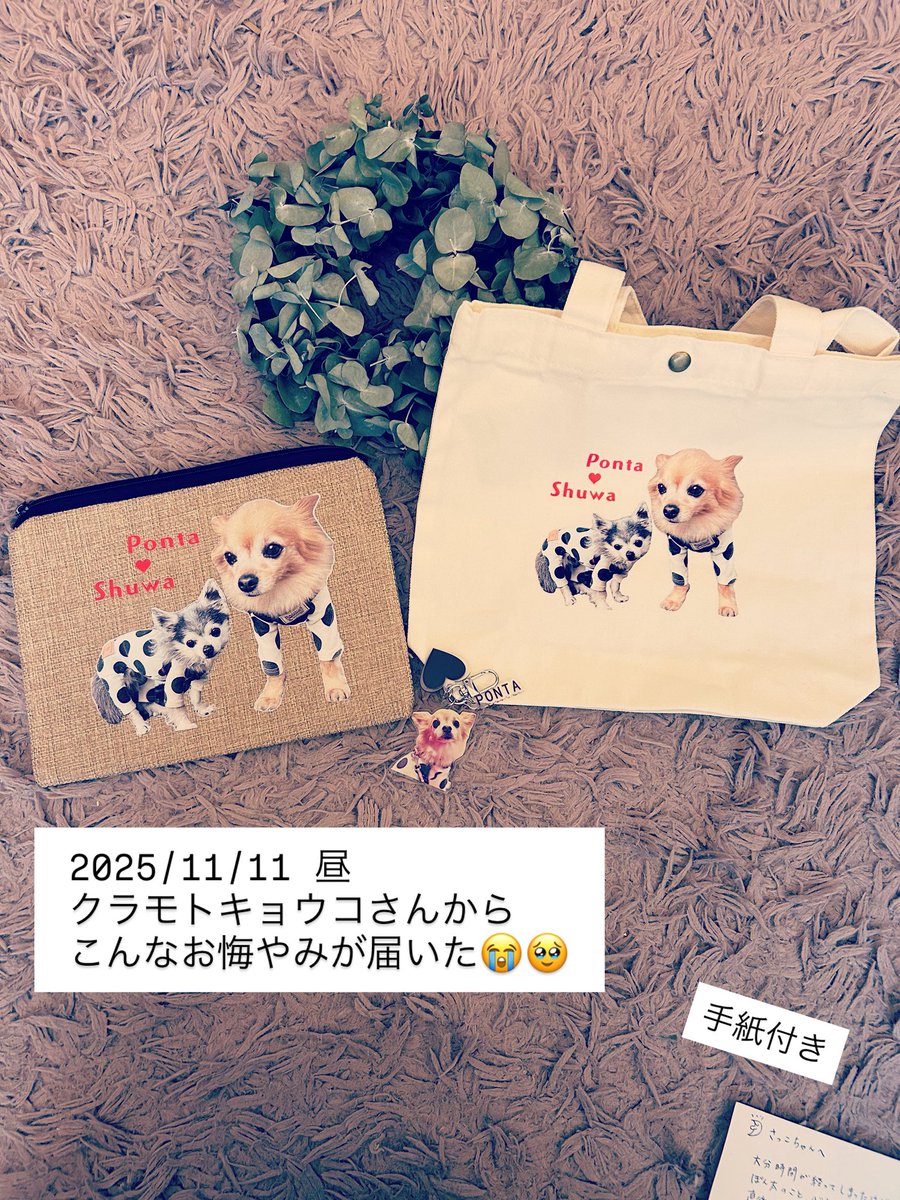 齊藤さっこ on X