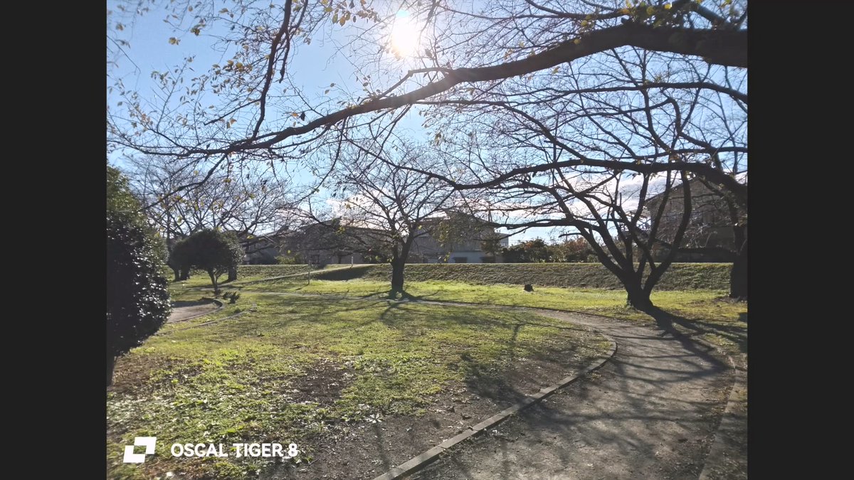 OscalJapan's tweet image. 8.45mmのスリムボディに、光をとらえるAIカメラ。
OSCAL TIGER 8は、軽やかに持てるデザインと、
自然な色彩を生み出す撮影体験をひとつに📸

shot by:@castella555

#OSCAL #TIGER8 #AIカメラ #デザインスマホ