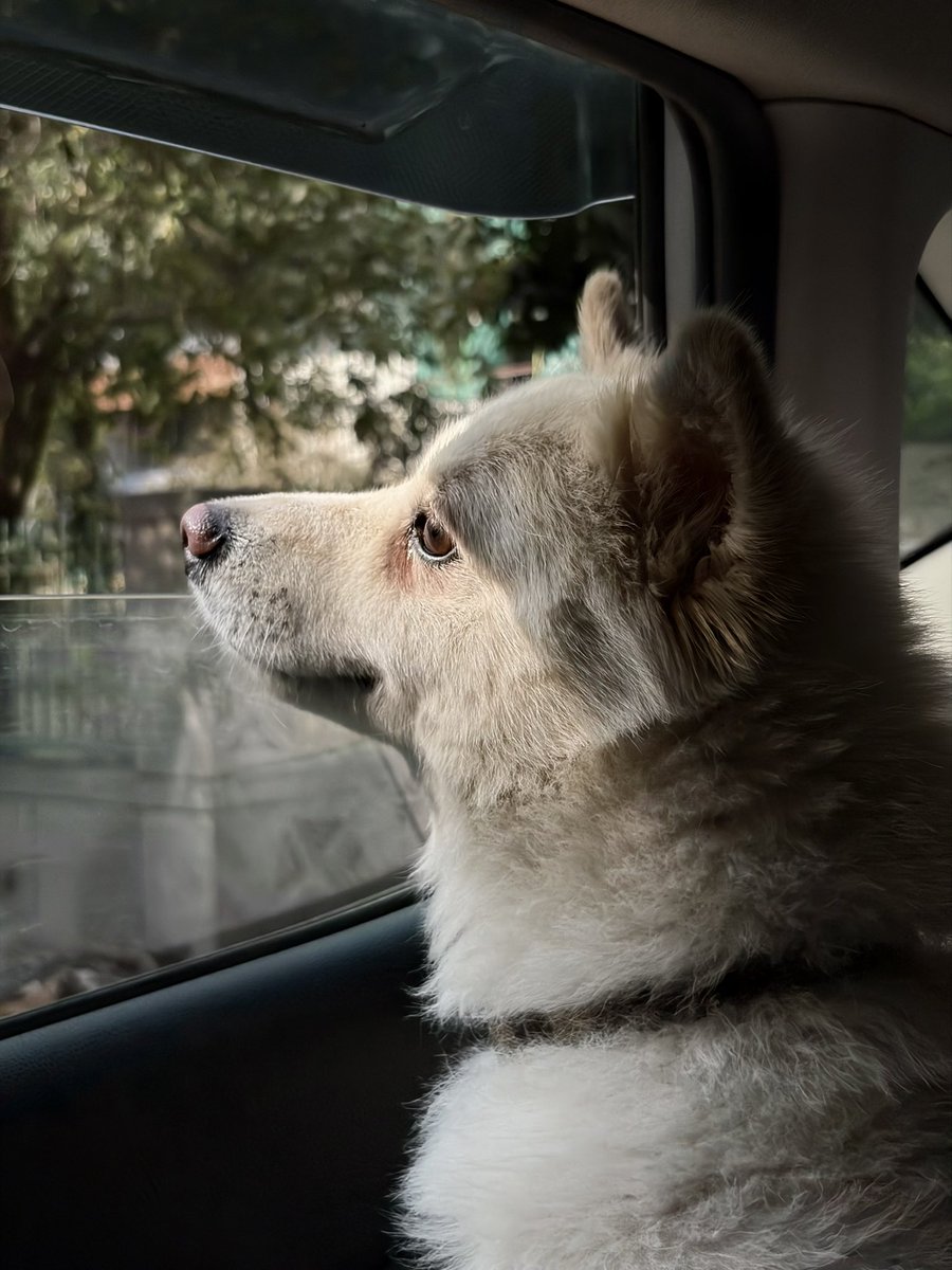 Parth Monish Kohli tweet media