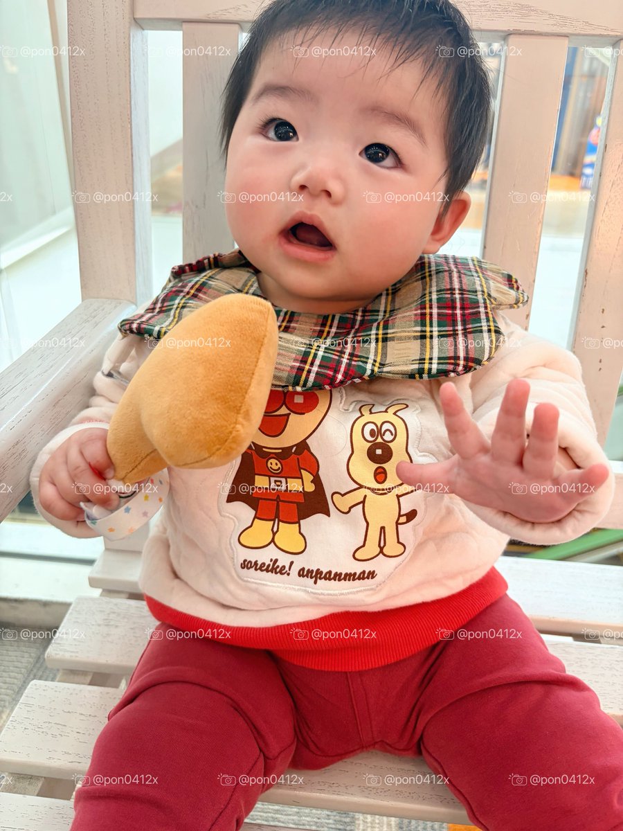 ポンデぽにょ様 完成品ご確認ページ☺︎ ぽんた☺︎ 𝟟𝕄 (@pon0412x) / Posts / X