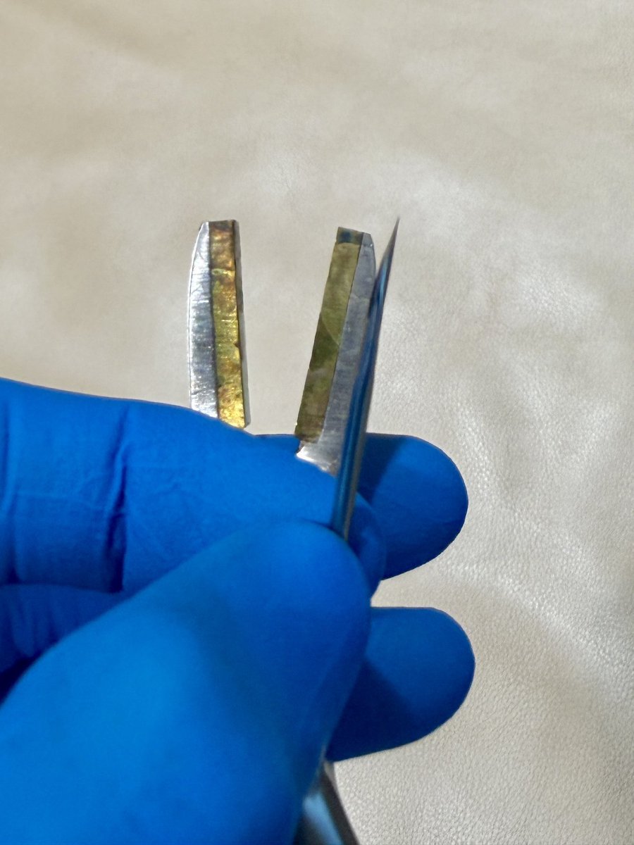 rose_piercing's tweet photo. Crushed my first needle https://t.co/Pmx9qD1XXg