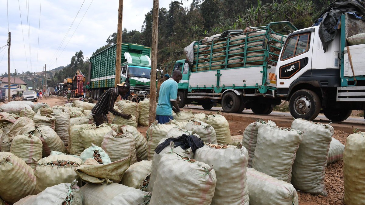 brianmixologist's tweet photo. Kapchorwa District is among the key producers of Irish in Uganda, feeding the entire Eastern region and some parts of Kenya. Kapchorwa received shs 17.1 billion in PDM money that has helped to boost production among farmers, hence boosting household income. 
Donkeys are used as a means of transport because of the mountainous nature of the region.