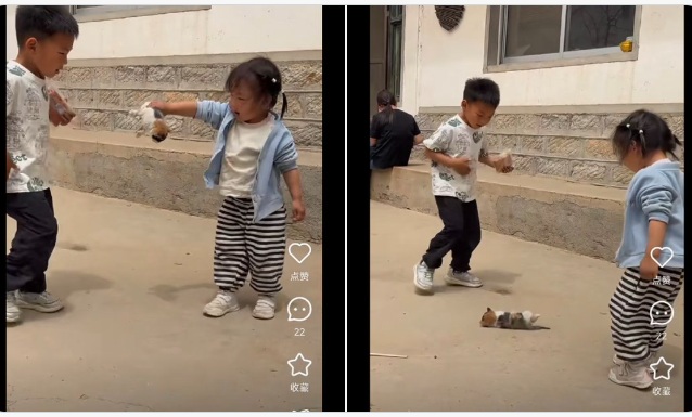 qsfkbwIhuWLhnjI's tweet photo. 中国。子猫を池面に落として遊ぶ子どもたち。
この子供たちの親は、この「遊び」を笑いながら撮影し、ソーシャルメディアに投稿。 https://t.co/zzhes8wW2t