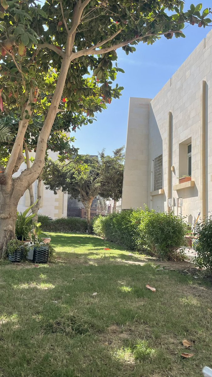 صباحوووو من كليتنا