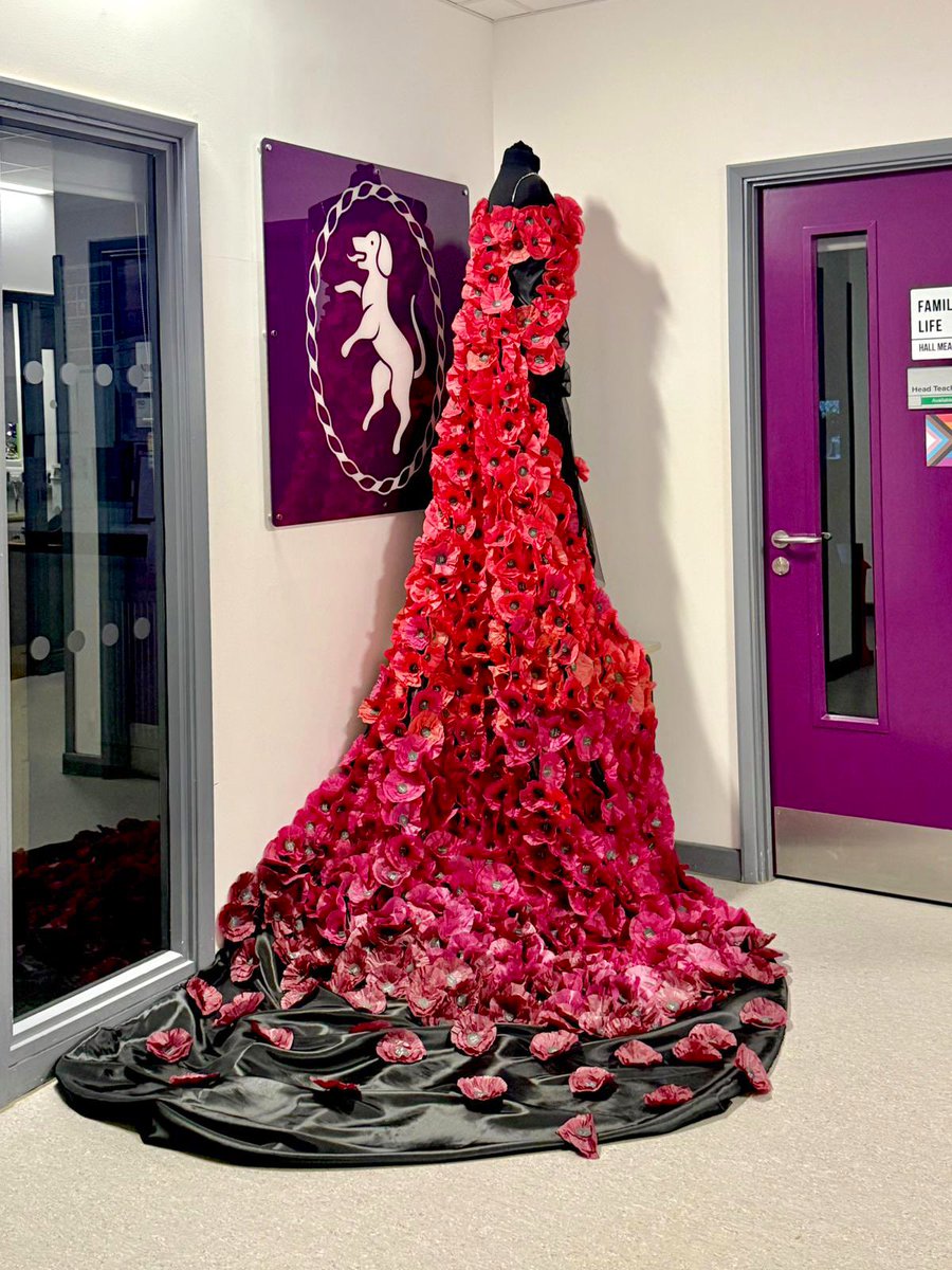 Hall Mead School tweet media