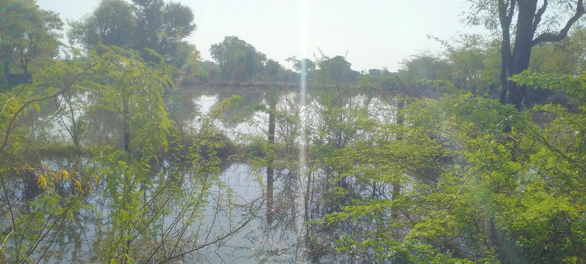 LalRathaa's tweet photo. आहोर विधानसभा क्षेत्र चादराई में नेहर ओवरफ्लो होने से किसानों को भारी नुक़सान 😢😔 https://t.co/EHRnx1cKqv