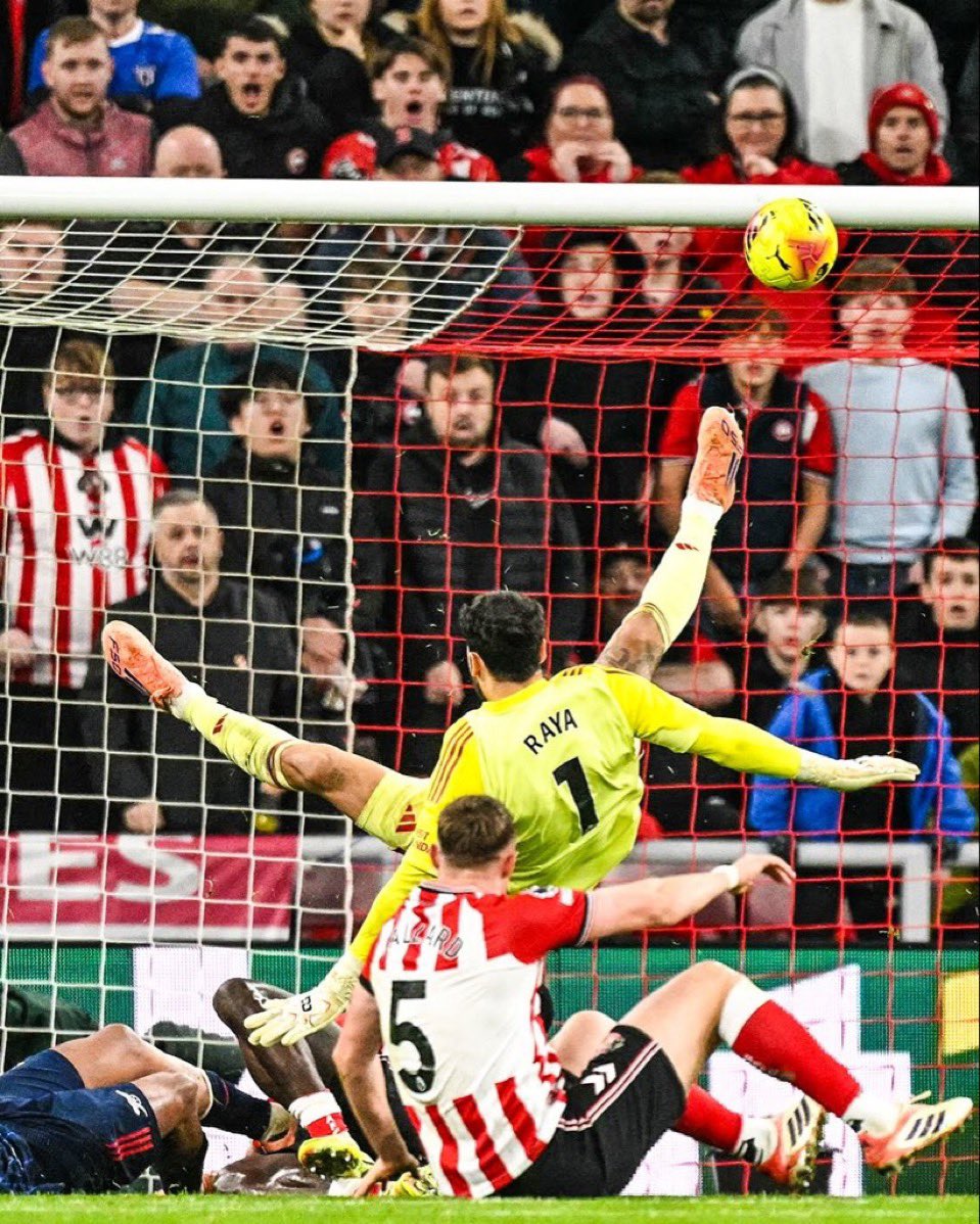 Alot of you will not agree to this but Raya is not a better goal keeper than the likes of Sanchez, Lammens and Trafford. He's just been hiding under Arsenal's defense all this while, winning undeserved golden gloves
