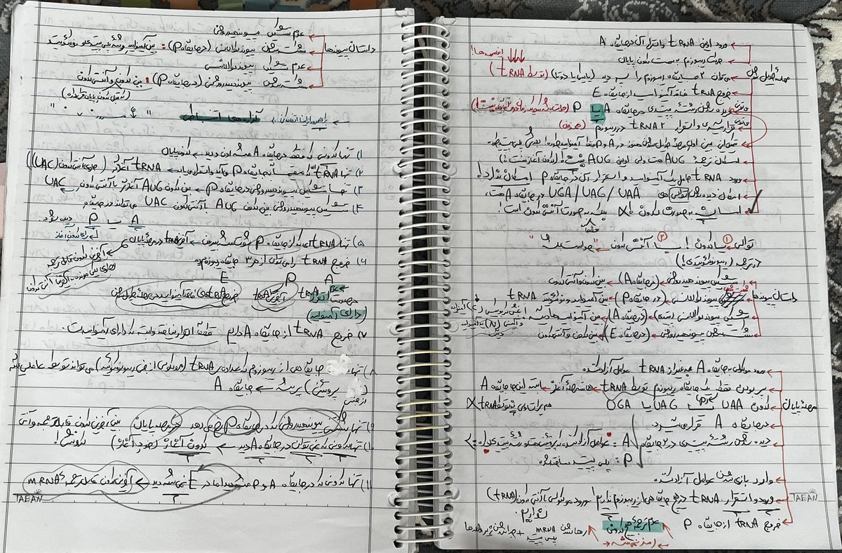 gregorykhane's tweet photo. بازم دلم یه همچین درس خوندنی می‌خواد. می‌دونید چی می‌گم. کنکور نه، ولی همچین چیزی.😭 https://t.co/lEy81lLSau