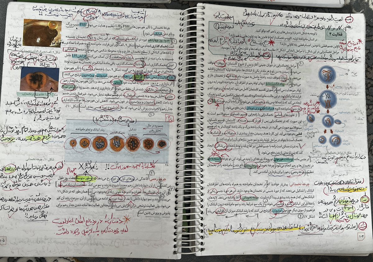 gregorykhane's tweet photo. بازم دلم یه همچین درس خوندنی می‌خواد. می‌دونید چی می‌گم. کنکور نه، ولی همچین چیزی.😭 https://t.co/lEy81lLSau