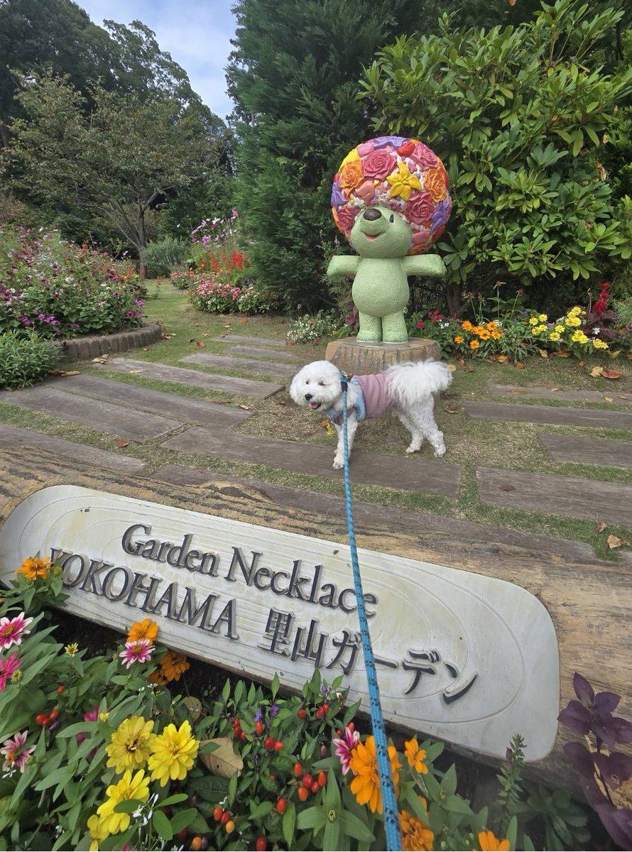 神奈川県交通安全協会 on X