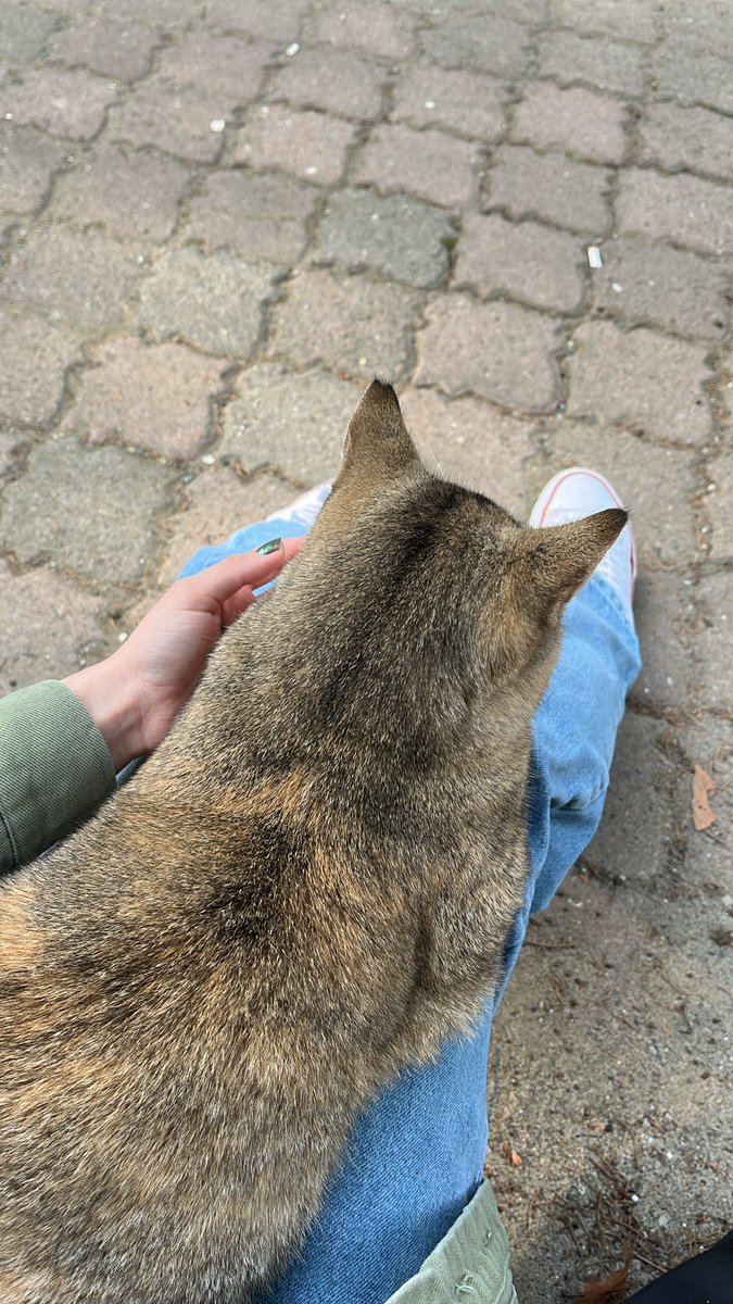 Ben artık bir anayim