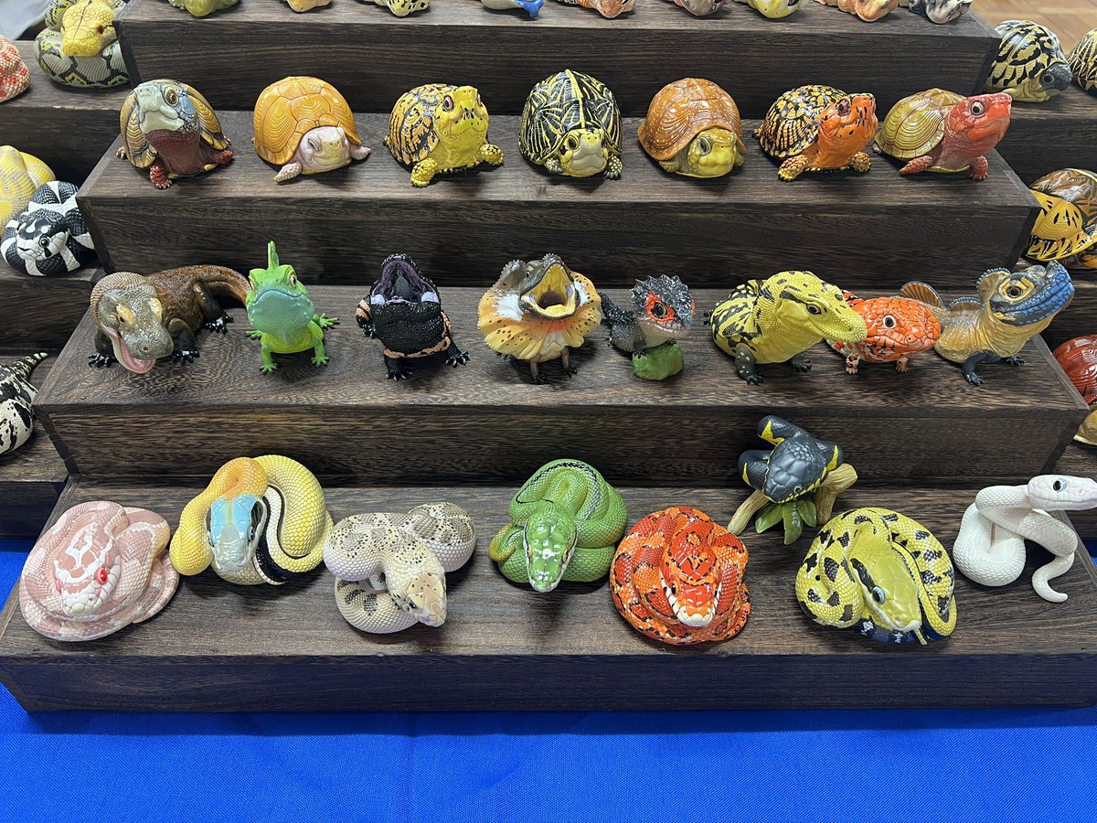 動物の惑星〜アニマルプラネット (@animal2023jp) / Posts / X