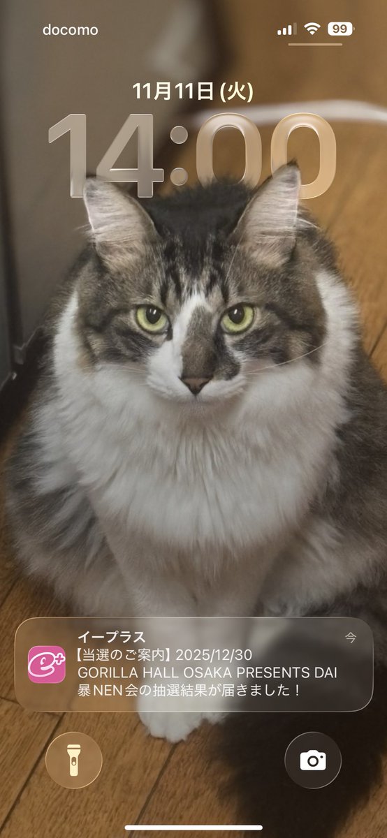 久々に自名義で当たった