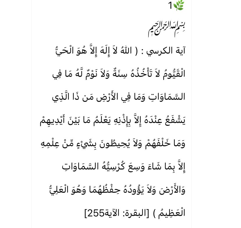AlaaWalid_'s tweet photo. صدقة جارية من سِلسلة الأذكار التي كان يرسلها فقيد قلبي والدي الحبيب رحمه الله، 
اقرأوها واذكروه في دعائكم، بارك الله بكم وجزاكم الله خيرًا. https://t.co/s9d3Qvhi3f