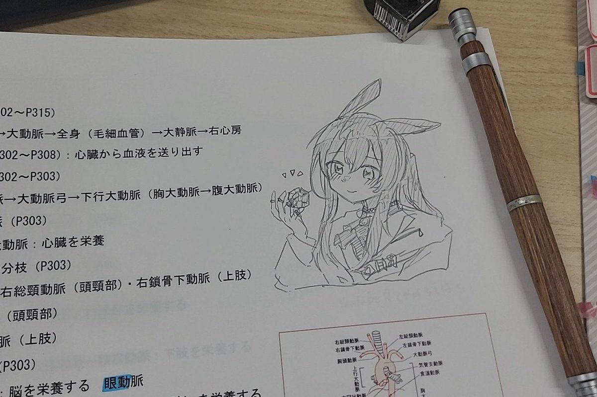 明透(あす)♜⃤ tweet media