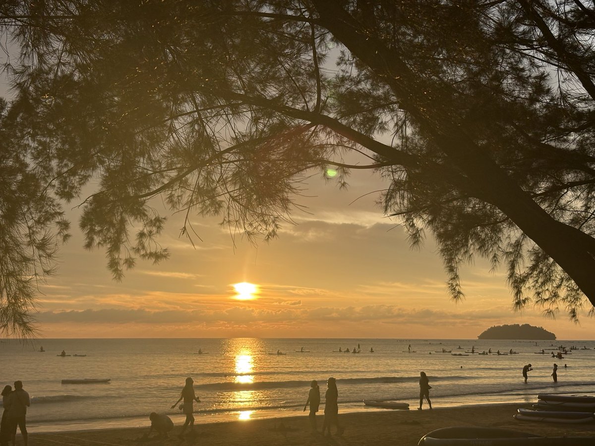 失踪人口回归，亚庇日落真不错

#Berachain  生态有持续参与的，感觉有些适合小资金搏一搏的小机会

规则1：
bong bear系列，2026年2月会解锁剩余空投部分的1/6
bit bear-约96 BERA
band bear-约200 BERA

规则2：
持有任一bong bear系列NFT，未来可免费获得rebase 6（时间未定），估算rebase