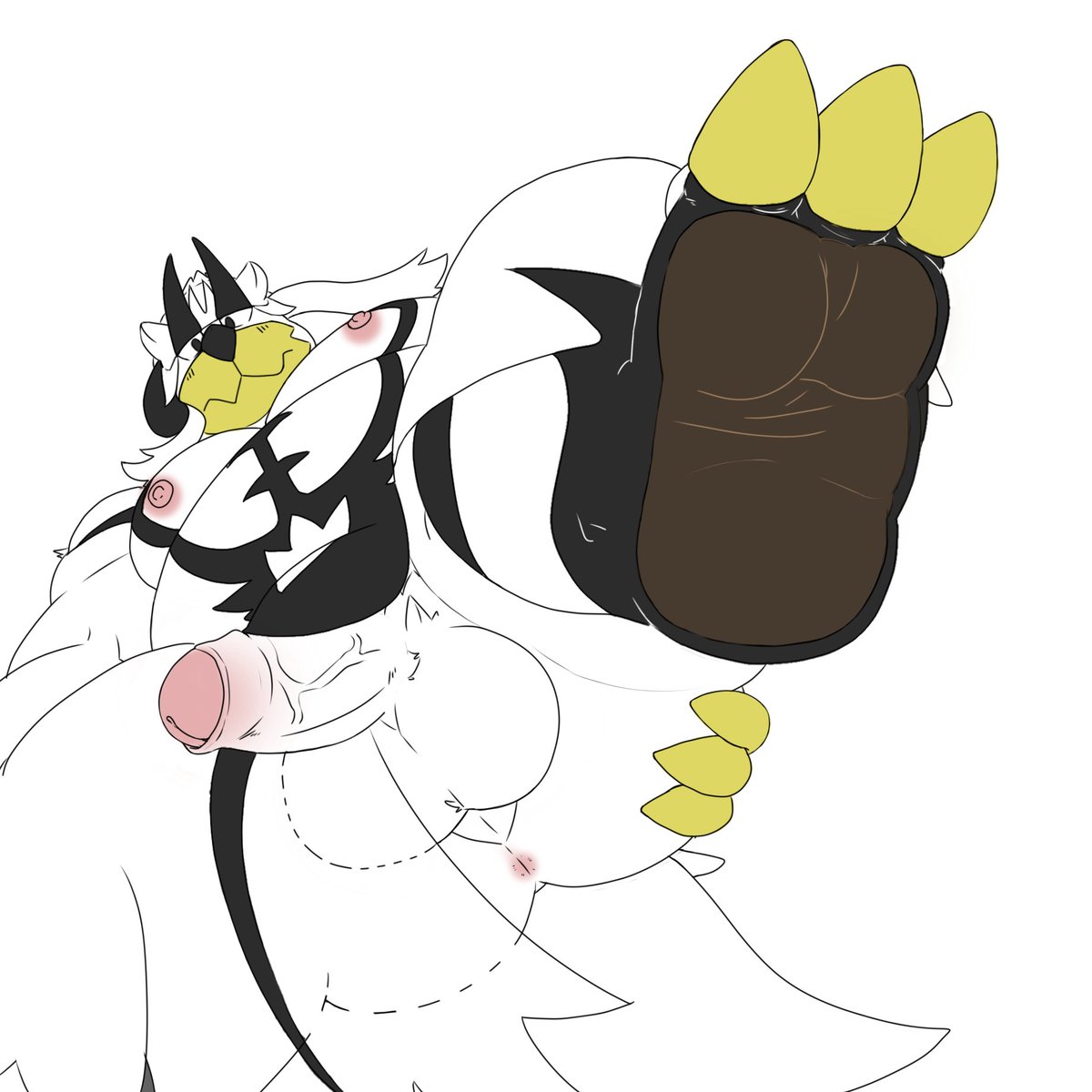 小狗看世界 tweet media