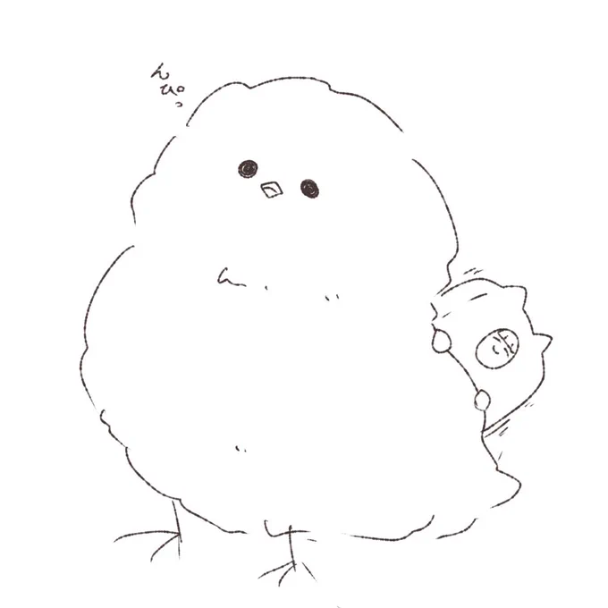 ぴよ 